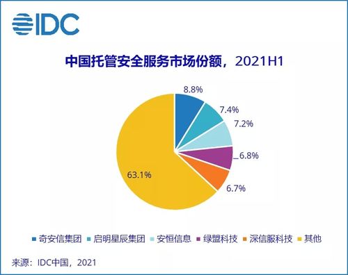 2021上半年中國IT安全服務市場躍升 整體收入約11.1億美元，同比增長達110%，互聯(lián)網接入及相關服務成關鍵驅動力