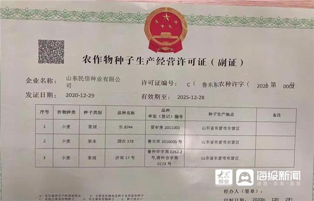 東營區核發首張農作物種子生產經營許可證 規范種業市場，護航農業生產